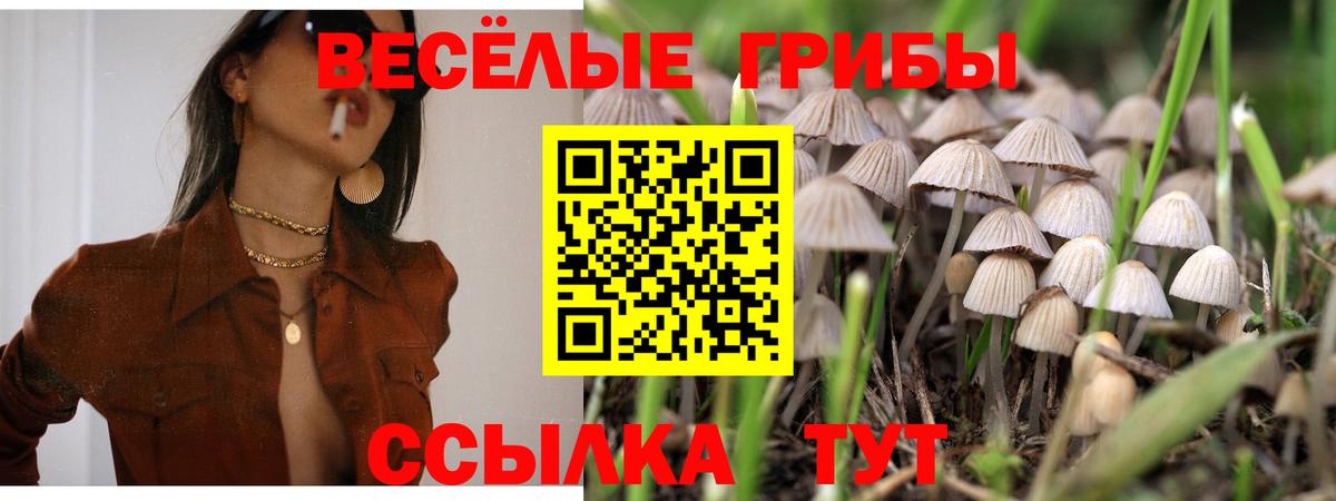 Псилоцибиновые грибы MAGIC MUSHROOMS  Вход с VPN  Кингисепп  Псилоцибиновые грибы мицелий 